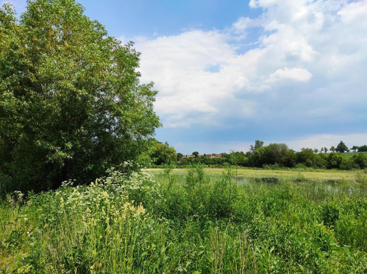 Prazdninovy Dum U Znojma Holiday home *